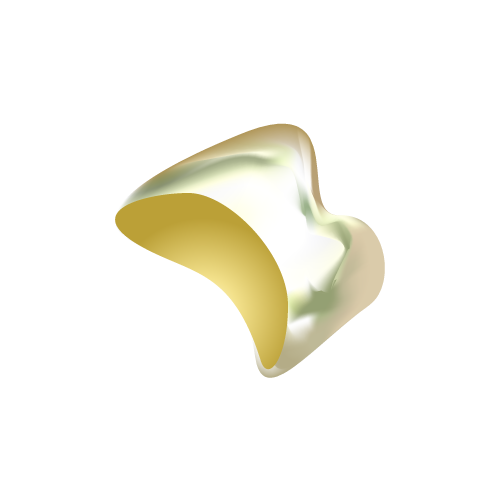 金合金【自費診療】